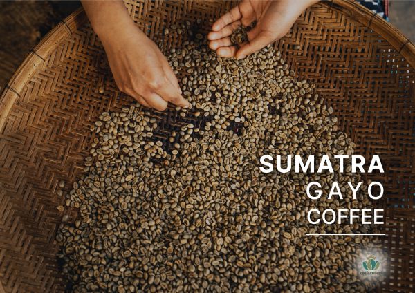 Sumatra Gayo Coffee - Image 3