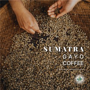 Sumatra Gayo Coffee