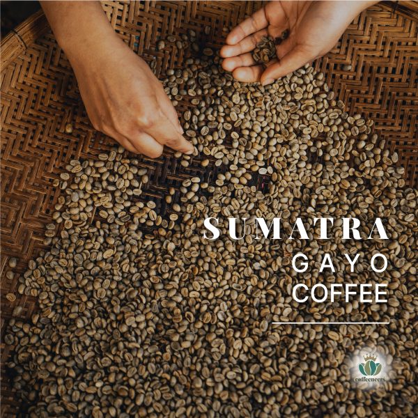 Sumatra Gayo Coffee